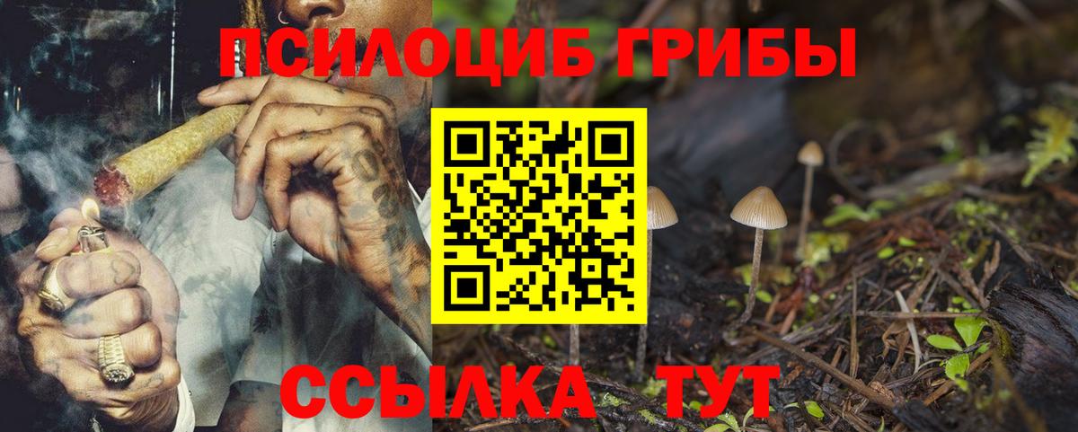 Галлюциногенные грибы мицелий Каменск-Шахтинский