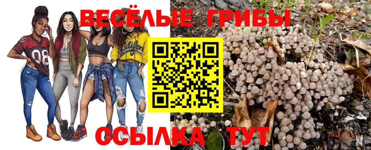 наркотики  Псилоцибиновые грибы ЛСД  Каменск-Шахтинский  Вход с VPN  Псилоцибиновые грибы Magic Shrooms 
